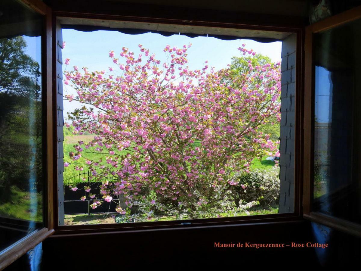 Rose Cottage Pontrieux ภายนอก รูปภาพ
