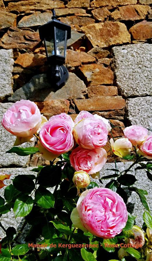 Rose Cottage Pontrieux ภายนอก รูปภาพ