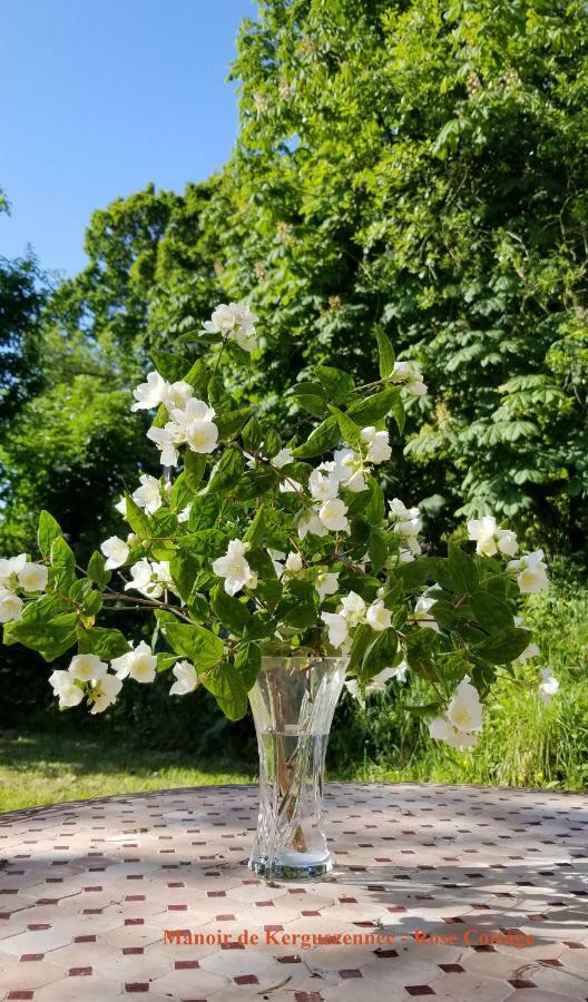Rose Cottage Pontrieux ภายนอก รูปภาพ